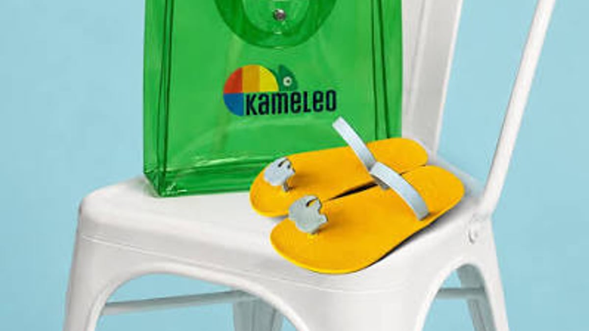 Kameleo Anti-Detect Browser: 2025 Review & Multi-Account Guide - workflow example