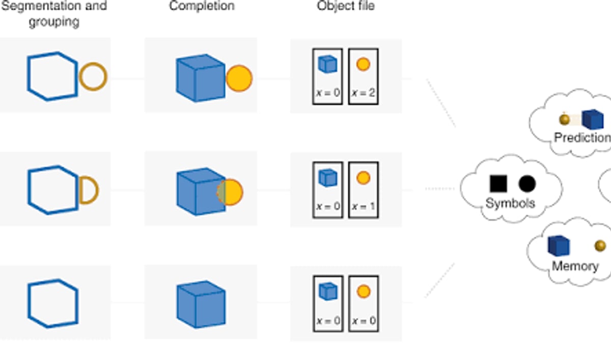 Vision Browser Review 2025: Anti-Detect Features & Pricing - workflow example